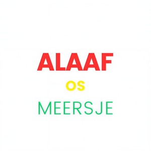 Alaaf os Meersje (Dj Michel Remix)