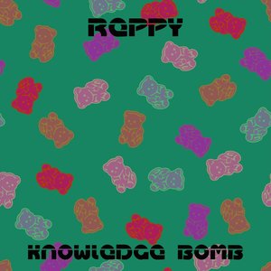 Knowledge Bomb (Radio Edit)