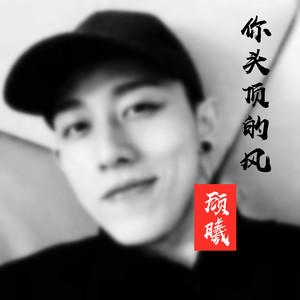 你头顶的风