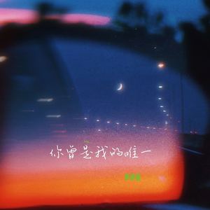 你曾是我的唯一