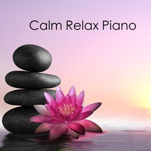 Stress Relief Piano 8