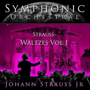 Treasure Waltz ( from the Gypsy Baron) Op. 418