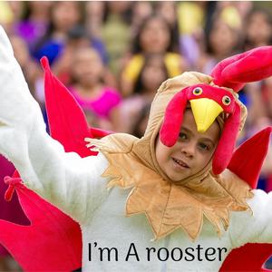 I'm A Rooster