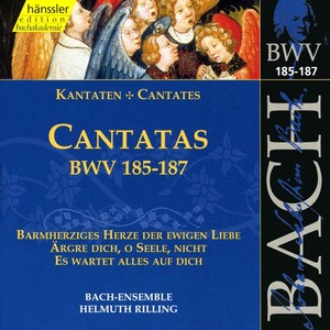 Es wartet alles auf dich, BWV 187 - Recitative: Halt ich nur fest an ihm (Soprano)
