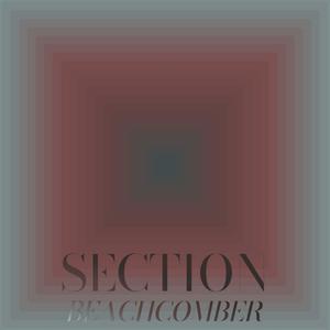 Section Beachcomber