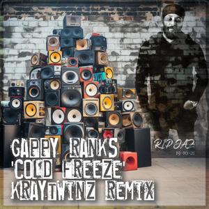 Cold Freeze (feat. Gappy Ranks) [Explicit]