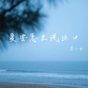 苏小云 - 爱要怎么说出口 (把心对你解剖)