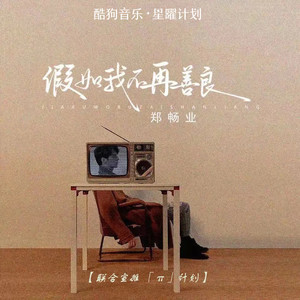 假如我不再善良 (DJ 阿雪版)封面