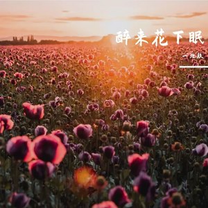 醉来花下眠