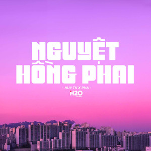 Nguyệt Hồng Phai (Lofi Version)