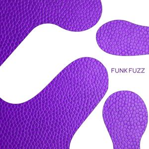 Funk Fuzz (Radio Edit)