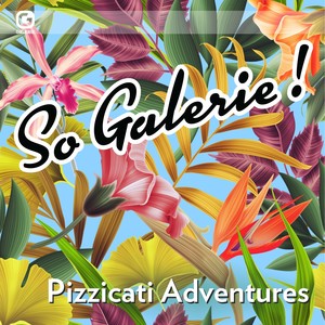 So Galerie! Pizzicati Adventures