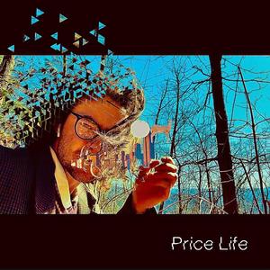 Price Life (feat. Wet chris)