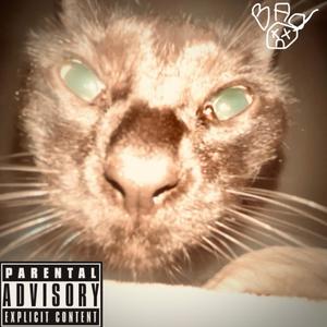 Shhh Mom Is Sleeping (Explicit)