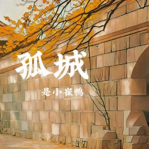 孤城 (DJ阿能版)