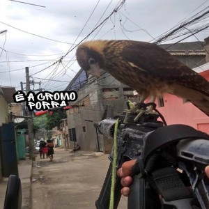 # MEGA PROS CRIA DA CROMO PARTE 3 (Explicit)