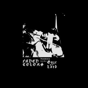 insomnia in the gaze of lord