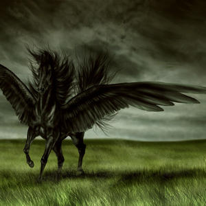 Je suis pas (Explicit)