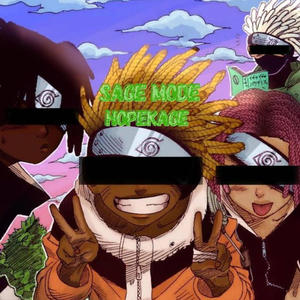 Sage Mode (Explicit)