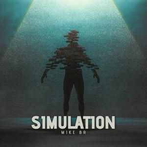 Simulation