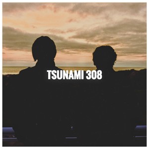 Tsunami 308