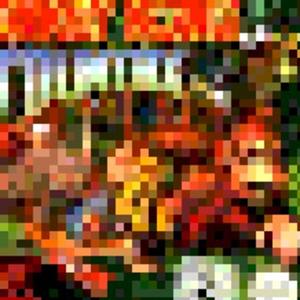 Donkey Cong Country
