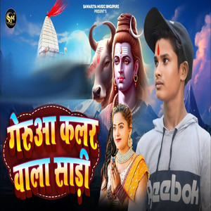 Gerua Colour Wala Saree