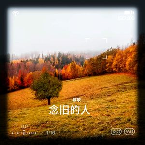 赐伤