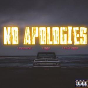 NO APOLOGIES (feat. Trigo & PaulFigga) [Explicit]