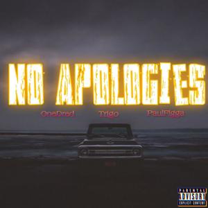 NO APOLOGIES (feat. Trigo & PaulFigga) (Explicit)