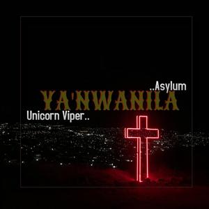 Ya' Nwanila (feat. Asylum)