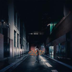 LARMES DE CROCO (feat. Palomae) (Explicit)