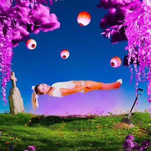 BAG (feat. ronniie10k) (Explicit)