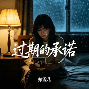 过期的承诺封面