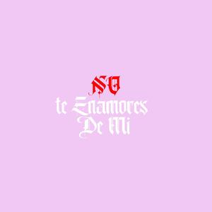 No te enamores de mi (feat. Ninsitow Joker & Jey L) (Explicit)