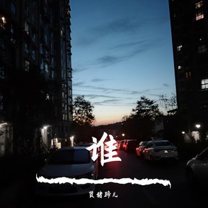 谁 (现场片段版)