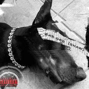 SHAW (Explicit)