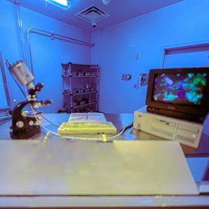 Death of an Introvert