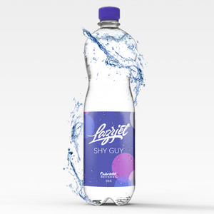 Shy Guy (Original Mix)