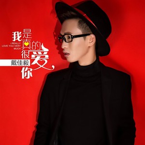 我是真的很爱你 (DJ阿远版伴奏)