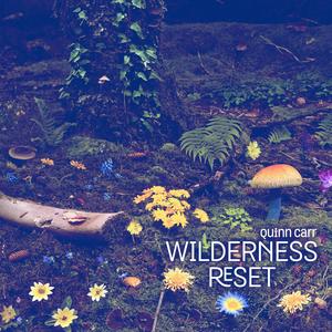 Wilderness Reset