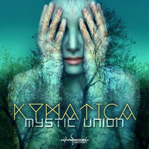 Nothing Is Under Control (Original Mix)