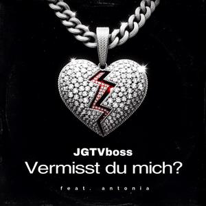 Vermisst du mich? (feat. antonia) [Explicit]