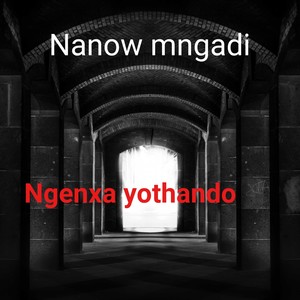 Ngenxa Yothando