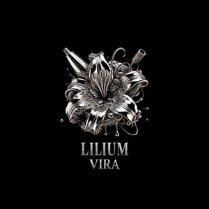 Lilium