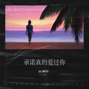 一生无悔 (DJ阿兴 remix)