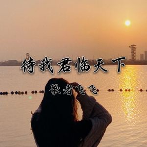 待我君临天下