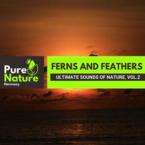 Ferns and Feathers - Ultimate Sounds of Nature, Vol.2