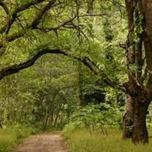 I Think Therefore I Am (feat. Big Bruh Tuh) (Explicit)