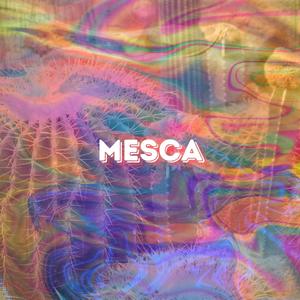 Mesca (Drum and Bass Mix)